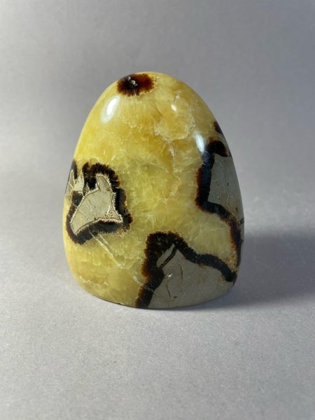 Septaria p&ouml;yt&auml;kivi - Kaunis uniikkikappale 488 g