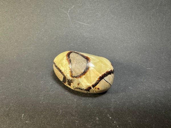 Septaria (Lohik&auml;&auml;rmeen muna) k&auml;mmenkivi 94g - Uniikkikappale